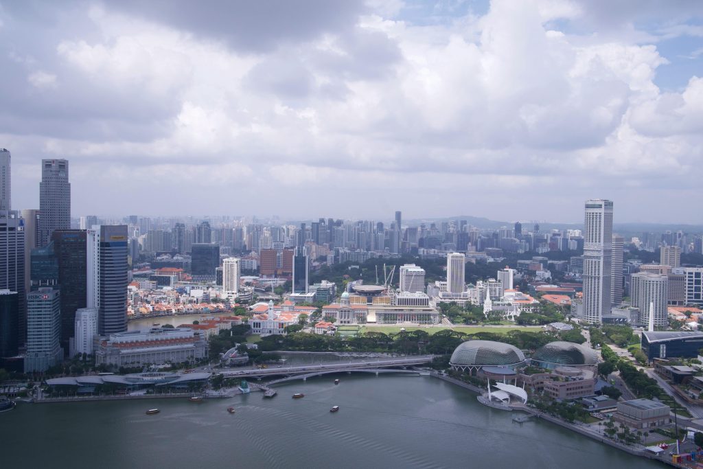 types of companies in Singapore - the various business structures.